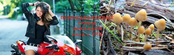 скорость mdpv Снежногорск